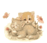 chatons